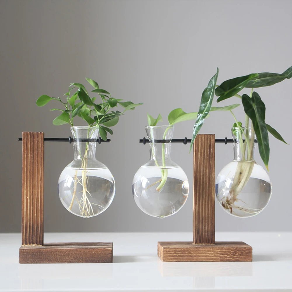 Glass Bulb Planter with Wooden Stand Hydroponic Desktop Vase Home Decor