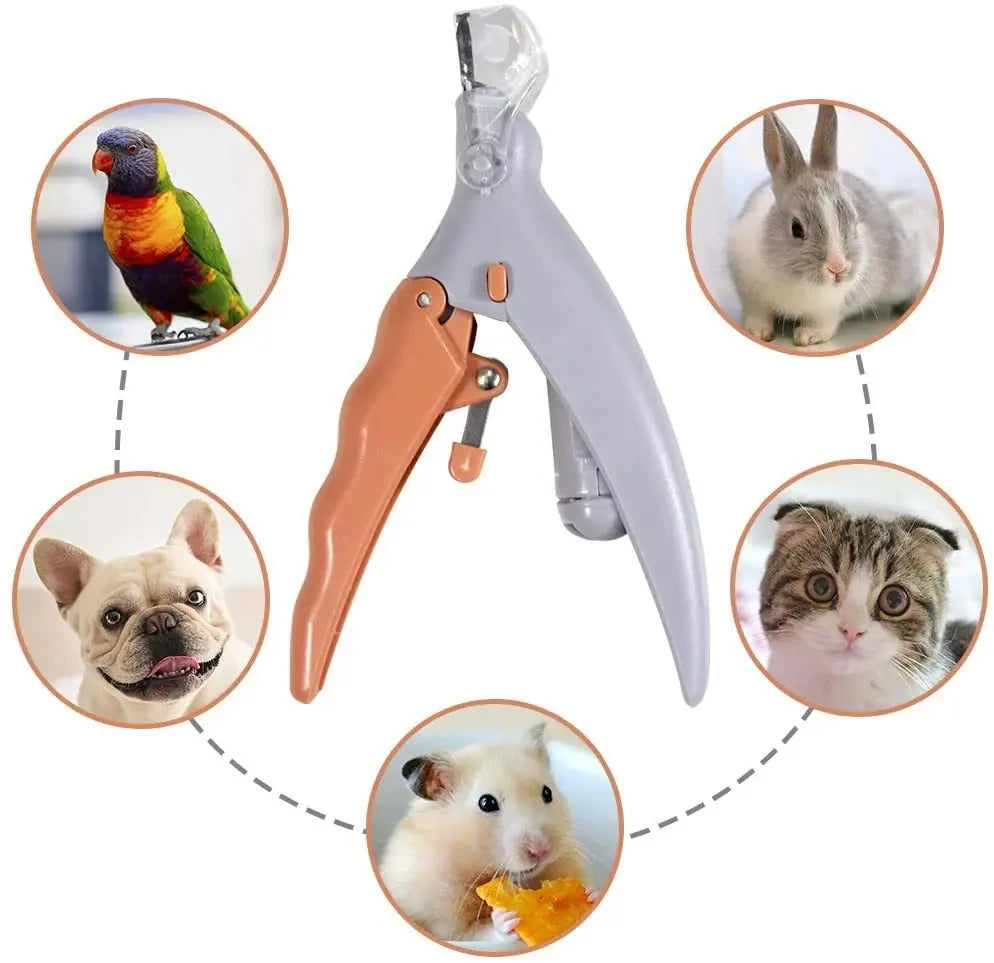 Professional Pet Nail Clippers with LED Light – Safe Dog and Cat Nail Trimmer