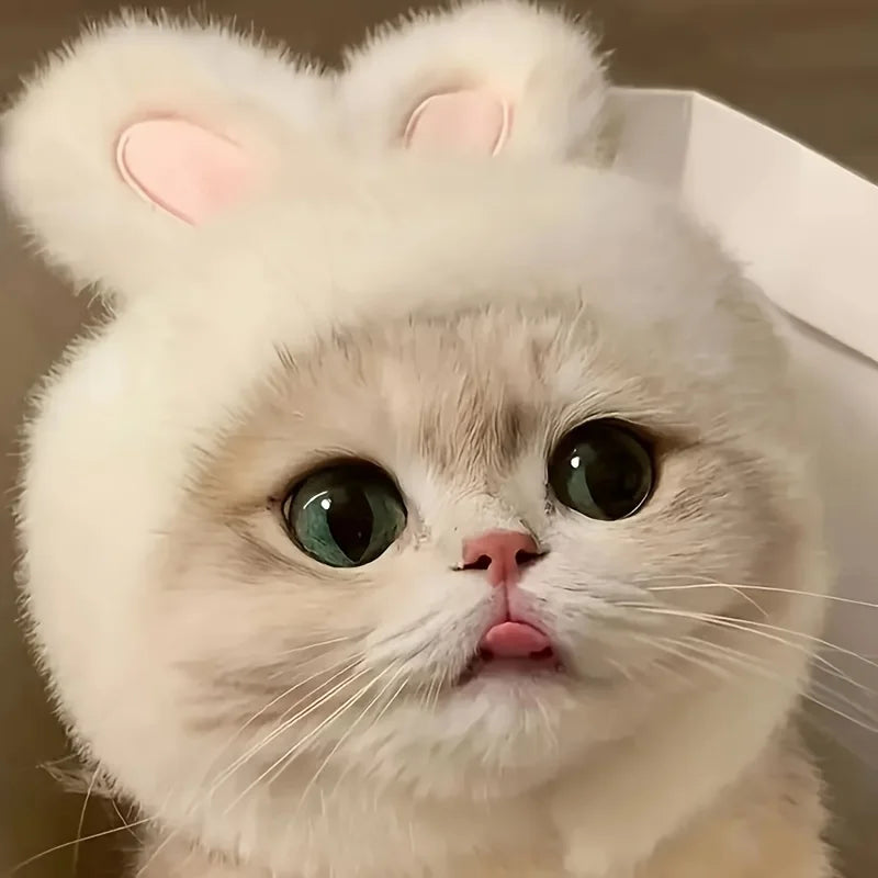 Bunny Ears Cat Hat Knit Pet Costume for Cats & Small Dogs