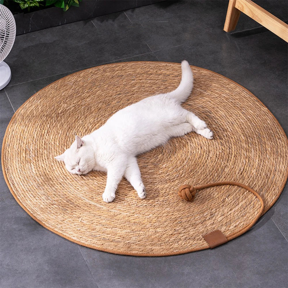 Cat Scratcher Mat Board Furniture Protector Nail Sharpening Scratch Pad