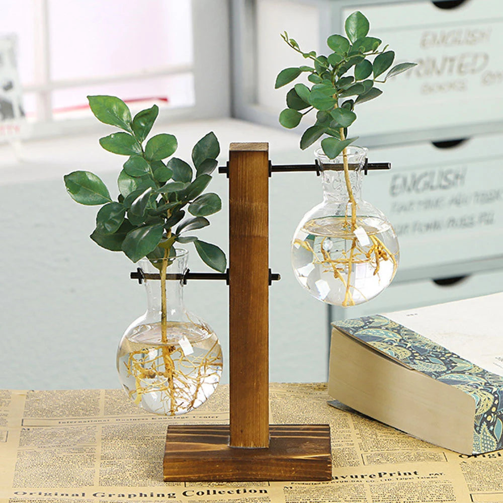 Glass Bulb Planter with Wooden Stand Hydroponic Desktop Vase Home Decor