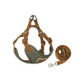 Breathable Dog Harness Leash Set for Small Medium Dogs and Cats