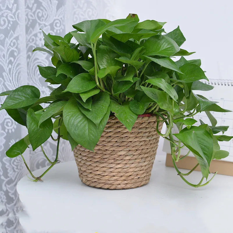 Straw Weaving Plant Pot Basket Grass Planter Cover Indoor Outdoor Flower Container