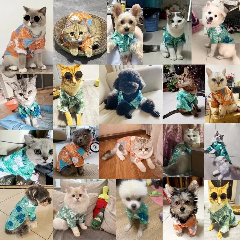Dog Shirt Summer – Coconut Print Beach Pet Clothes for Dogs & Cats