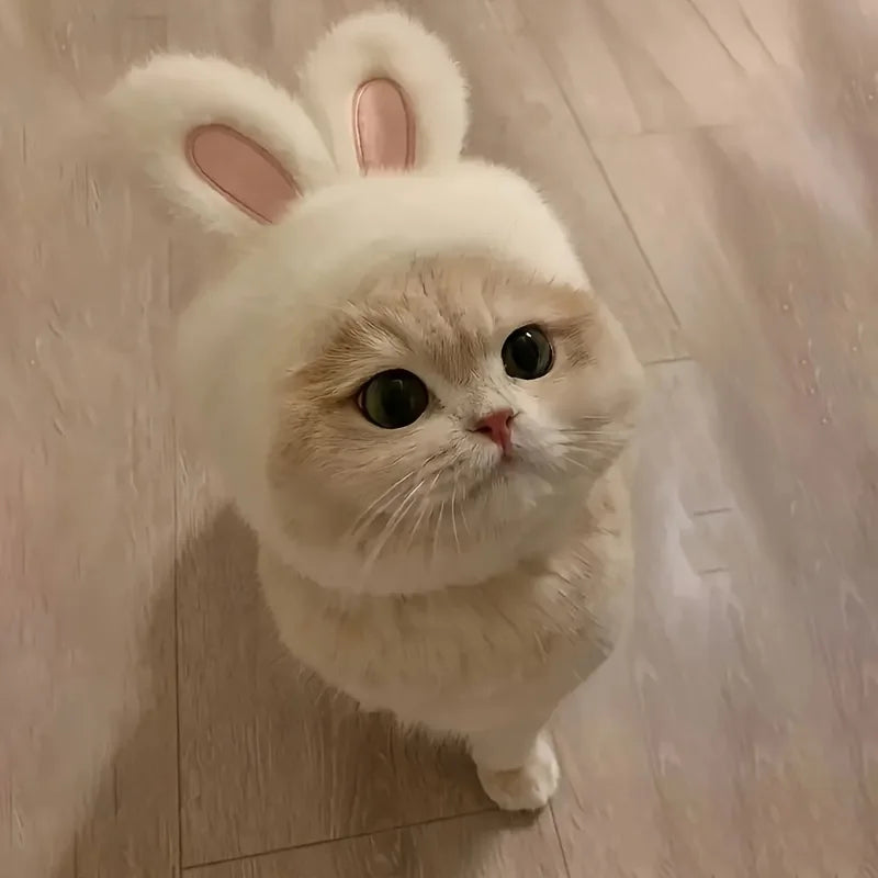 Bunny Ears Cat Hat Knit Pet Costume for Cats & Small Dogs
