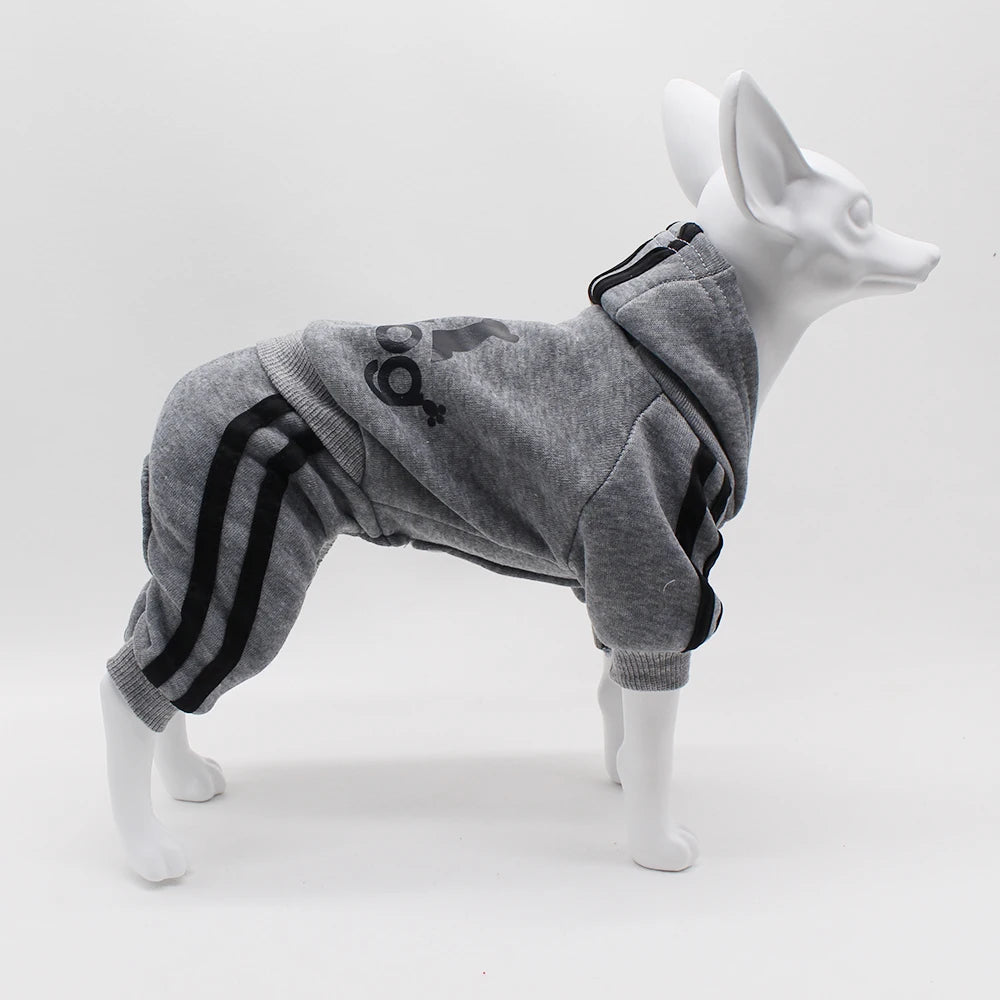 Cute Dog Hoodie Jumpsuit – Sport Outfit for Small Dogs