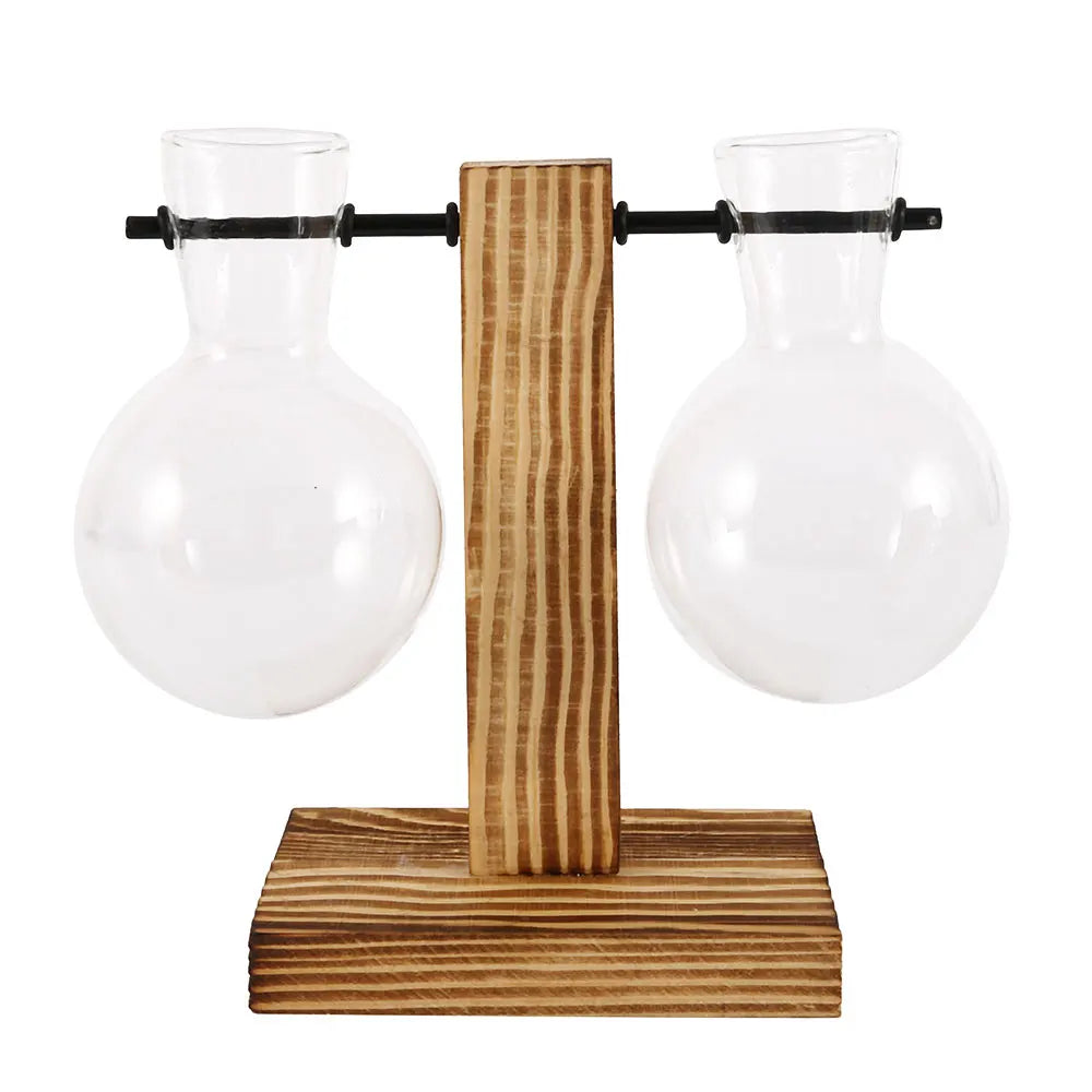 Glass Bulb Planter with Wooden Stand Hydroponic Desktop Vase Home Decor