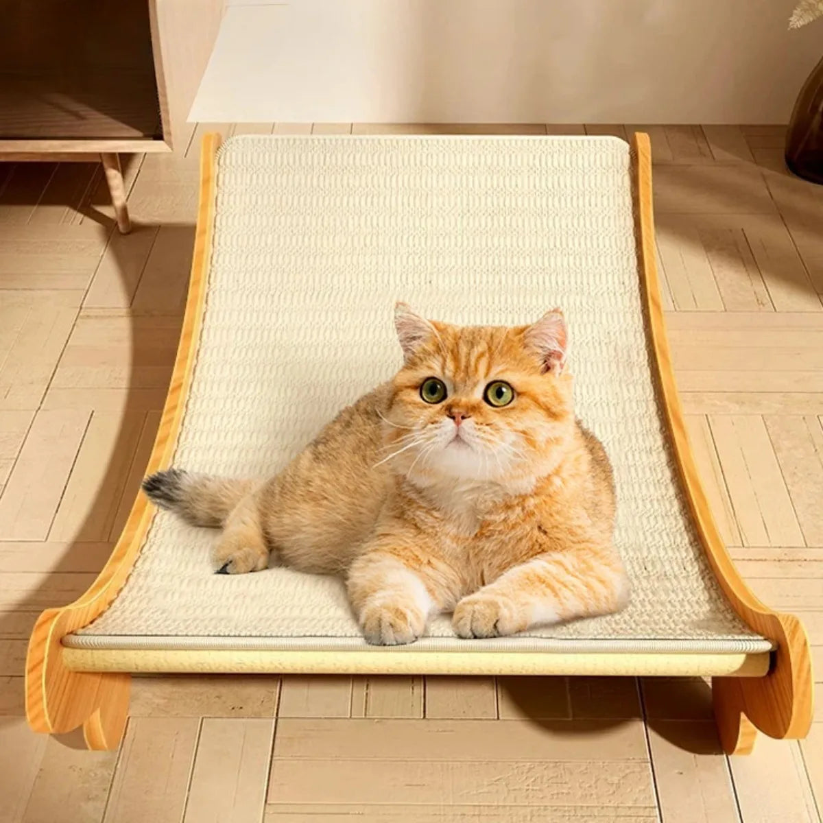 Wooden Cat Scratching Pad Bed Multifunction Wear Resistant Scratch Board for Cats