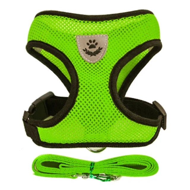 Cat Harness & Leash Set – Escape Proof Vest Harness for Cats & Small Dogs