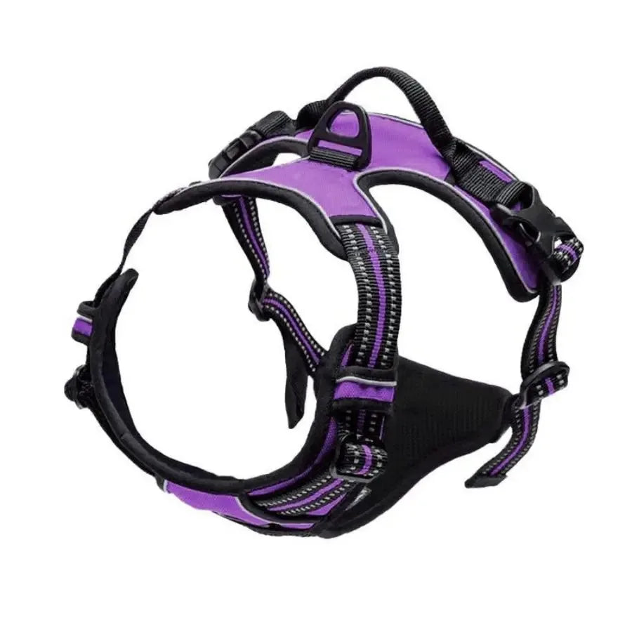Dog Collar Harness Vest Leash Set for Small Medium Dogs