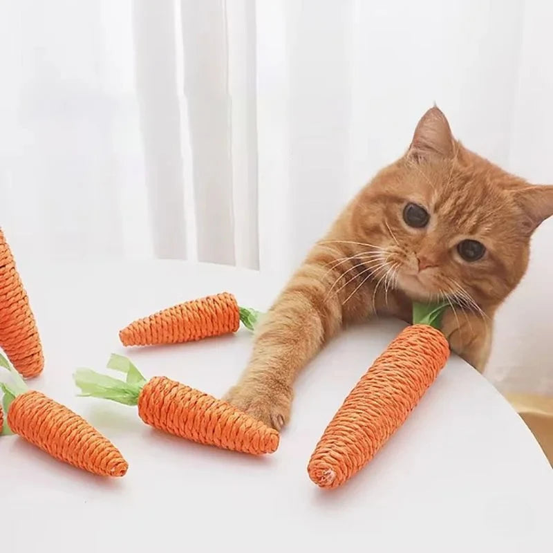 Interactive Carrot Cat Toy Sound Chew Teething Stick