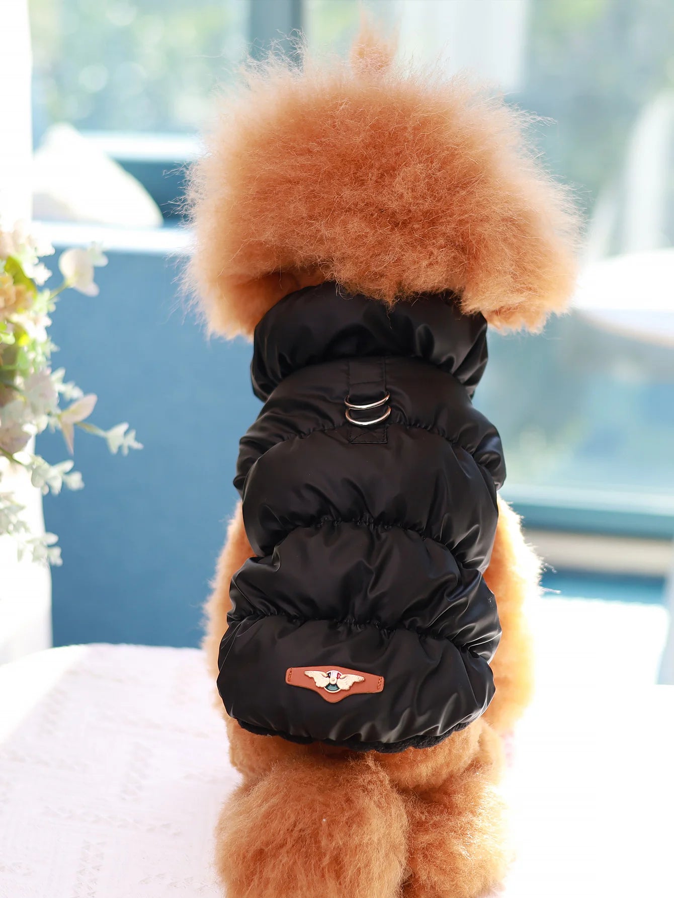 Warm Winter Dog Jacket for Small Medium Dogs