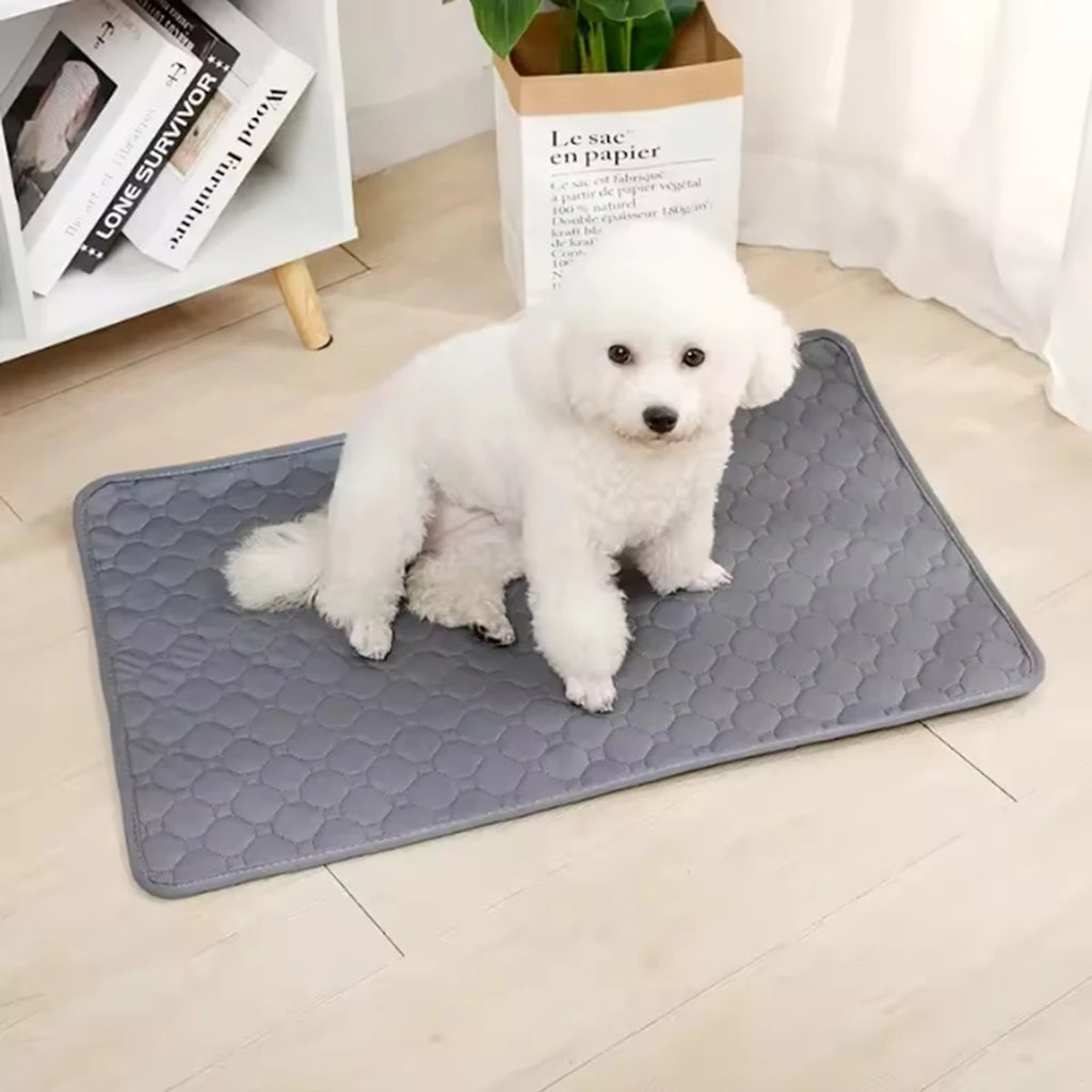 Washable Dog Pee Pad Waterproof Reusable Training Mat