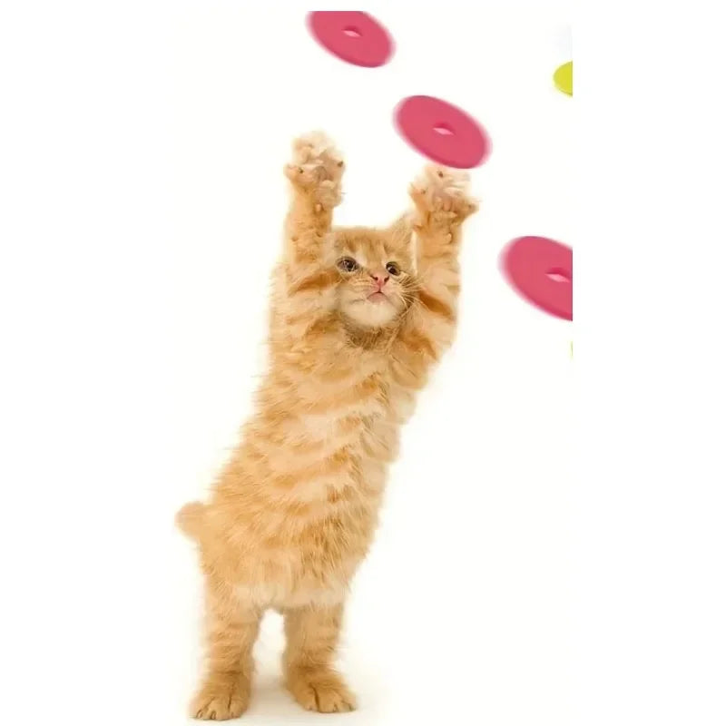 Interactive Cat Toy Foam Disc Launcher with 15pcs Reusable Discs
