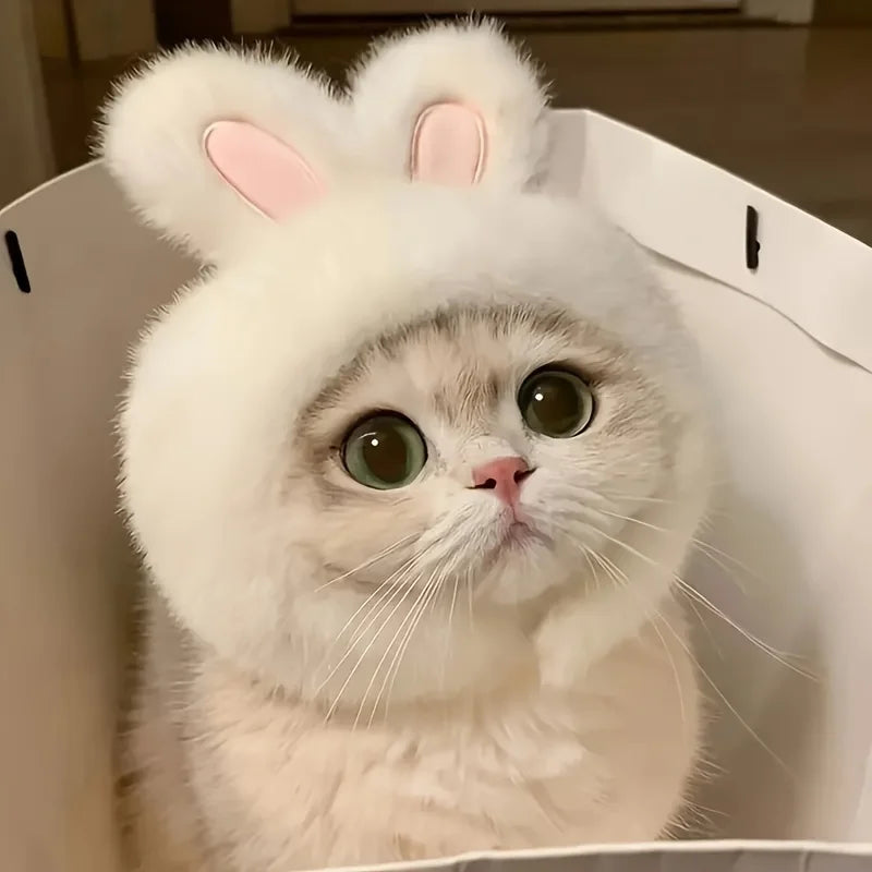 Bunny Ears Cat Hat Knit Pet Costume for Cats & Small Dogs