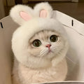 Bunny Ears Cat Hat Knit Pet Costume for Cats & Small Dogs