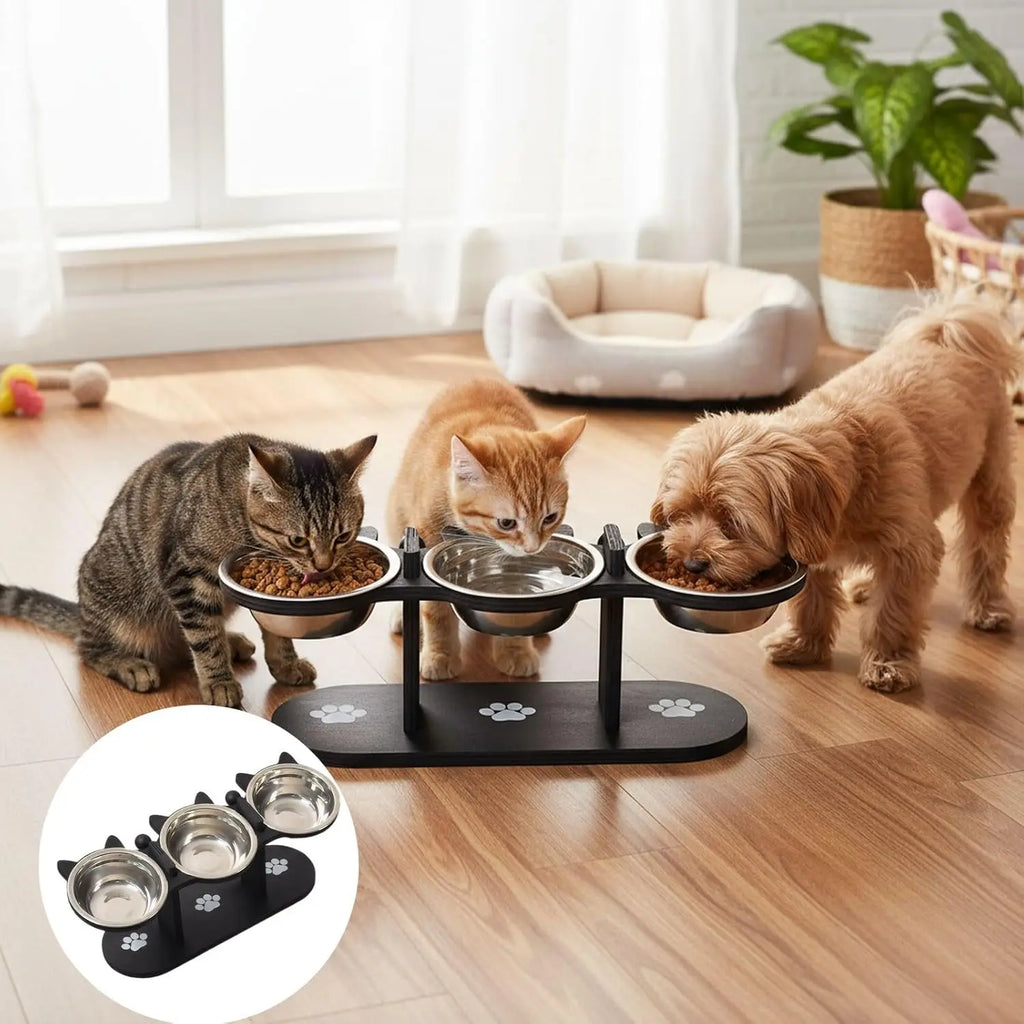 Elevated Stainless Steel Cat Bowl with 15 Degree Wooden Stand