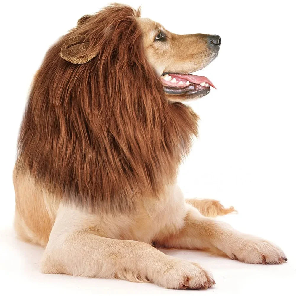 Dog Lion Mane Costume Realistic Pet Wig for Medium Large Dogs