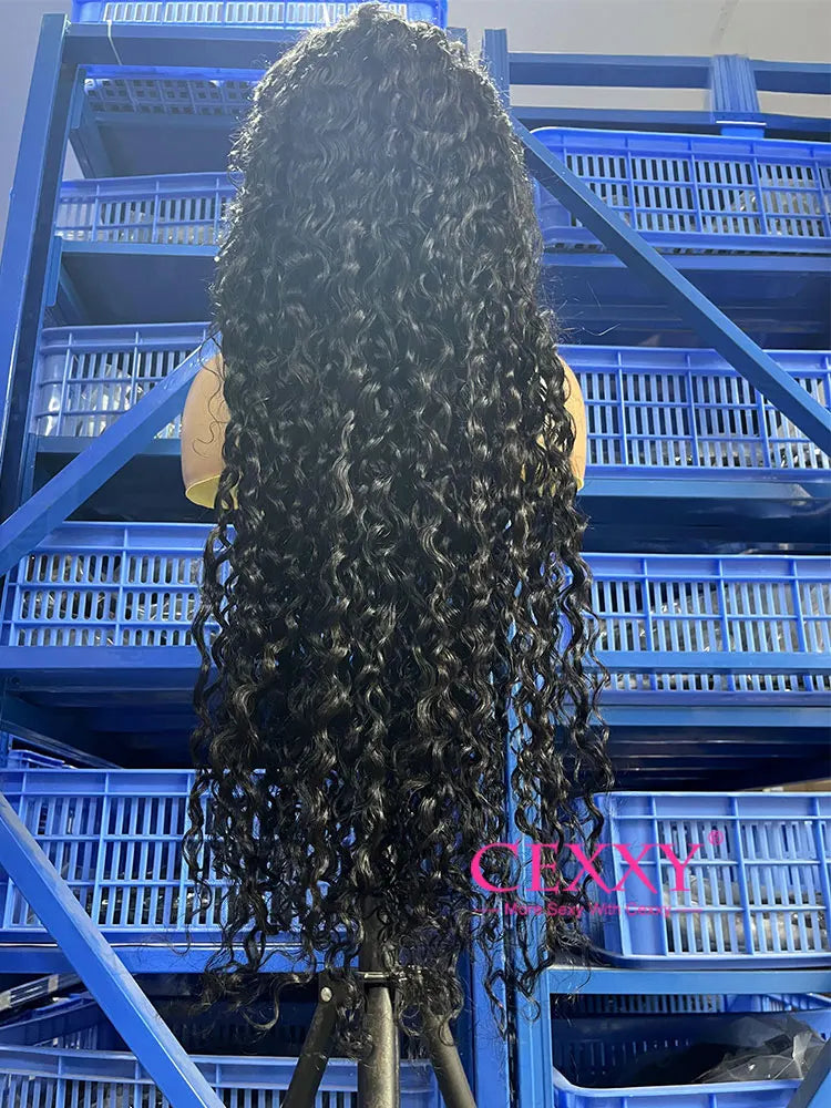 250% Density Curly Wig – Super Full HD Lace Wig