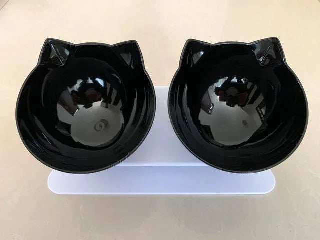 Non Slip Double Pet Bowl with Stand for Cats and Dogs