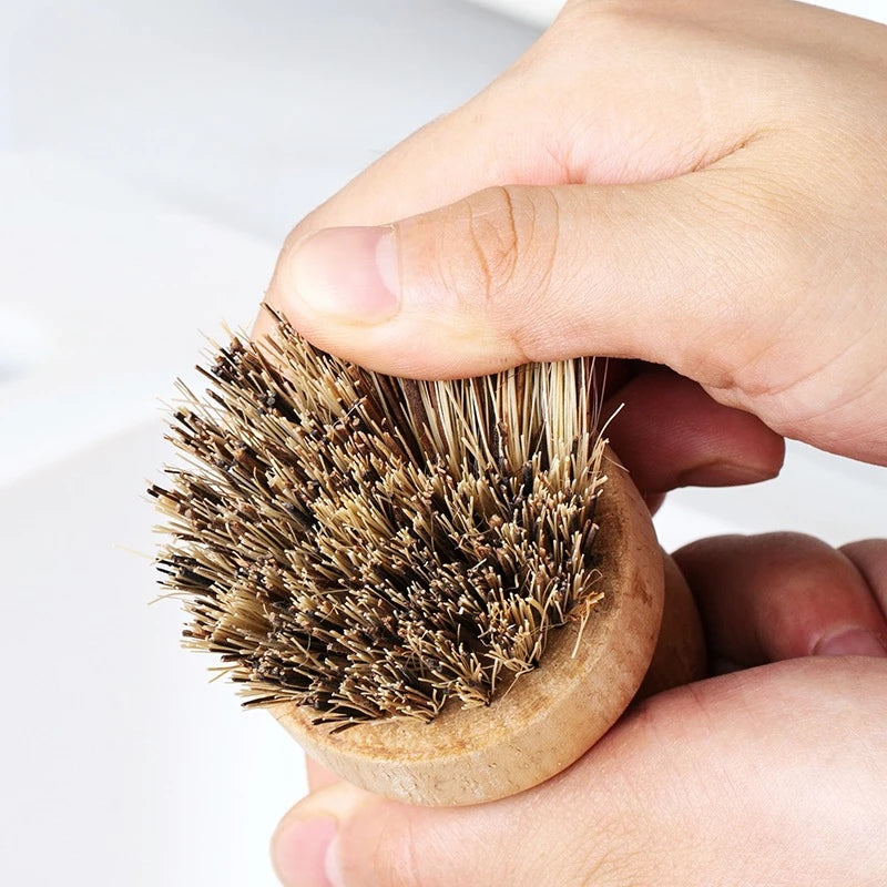 2 Piece Wooden Dish Brush Set Natural Sisal Coconut Kitchen Cleaning Brush