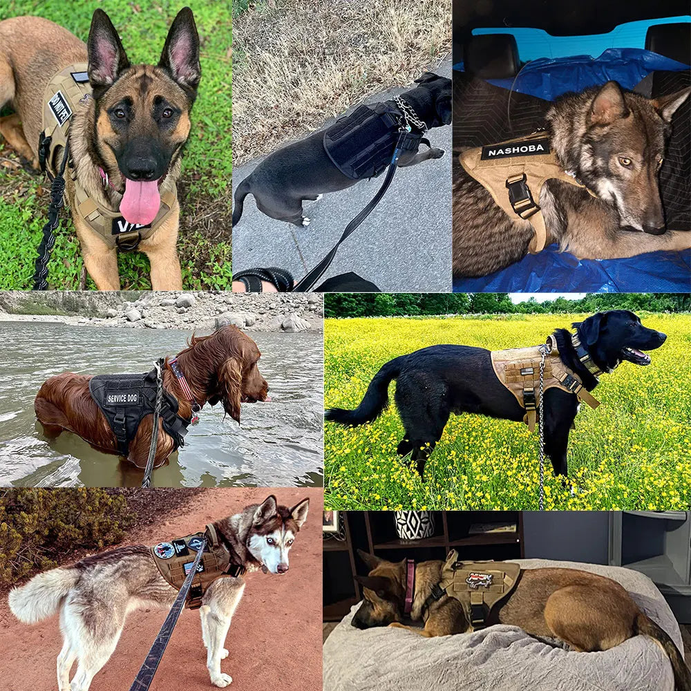 Large Dog Harness Collar Leash Set with Molle Pouches for Training Walking