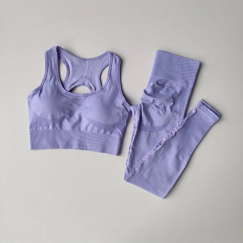 Women Sports Bra Set Fitness Tank Top Leggings Yoga Workout Set Shockproof