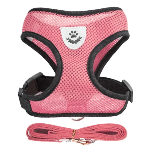Cat Harness & Leash Set – Escape Proof Vest Harness for Cats & Small Dogs