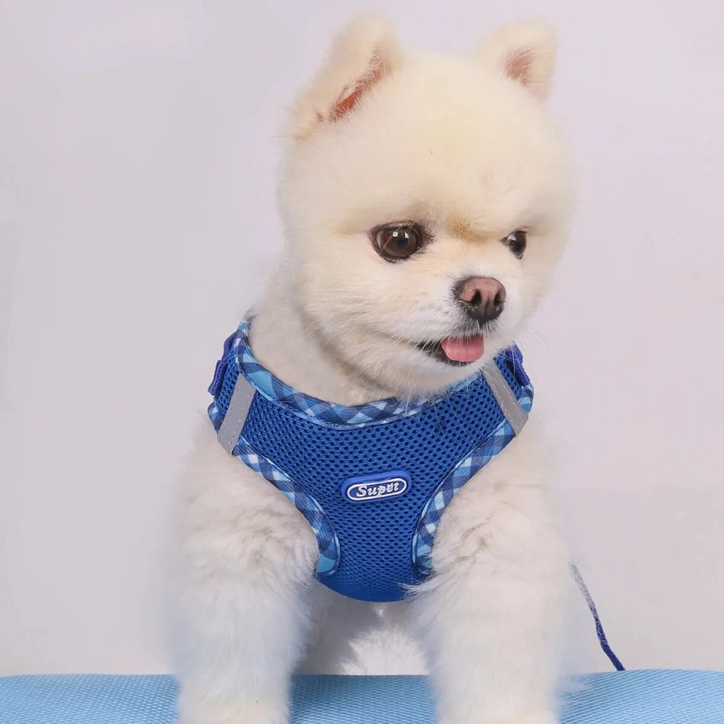 Adjustable No Pull Dog Harness for Small Medium Dogs