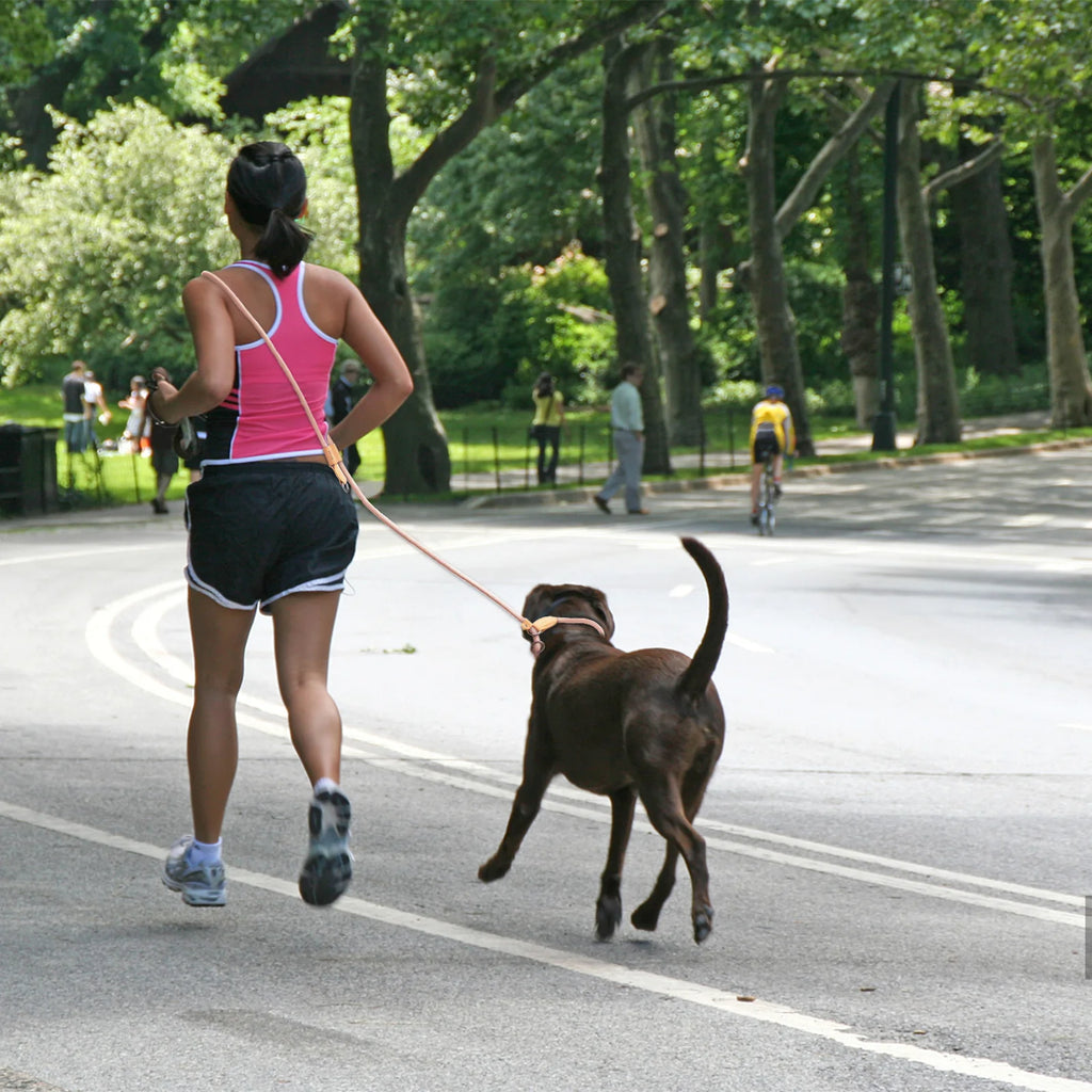 Adjustable P Shape Dog Leash Hands Free Traction Rope for Running Walking