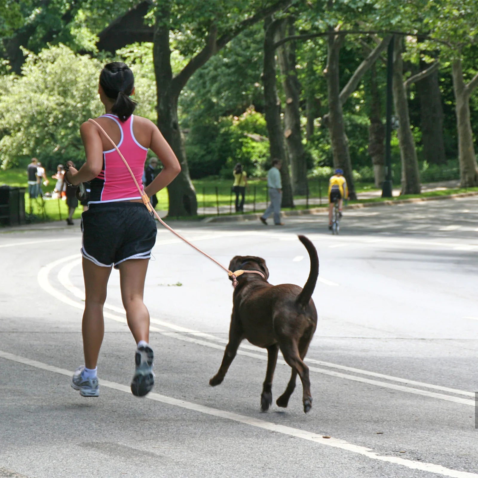 Adjustable P Shape Dog Leash Hands Free Traction Rope for Running Walking