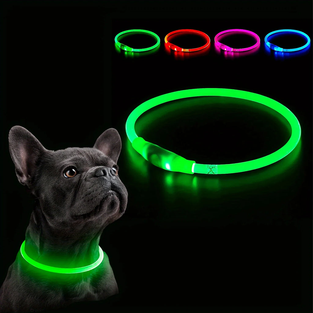 LED Dog Collar – USB Rechargeable Light-Up Collar for Night Walking