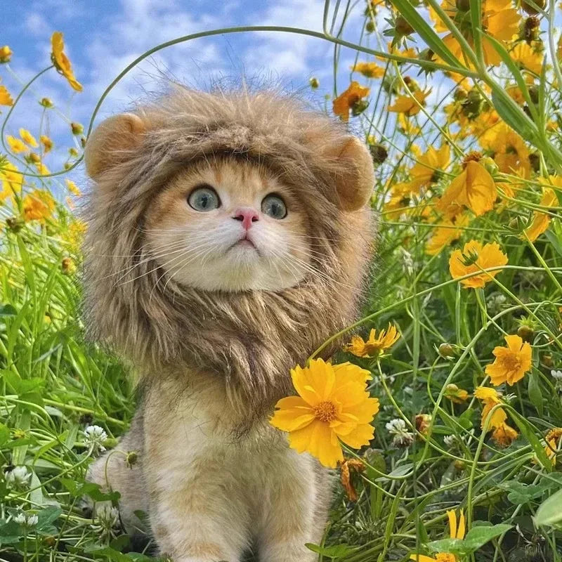 Lion Mane Pet Hat for Cats Dogs Winter Costume Accessory