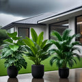 3 Piece Artificial Plant Set Banana Tree Monstera Palm Decor for Home Office