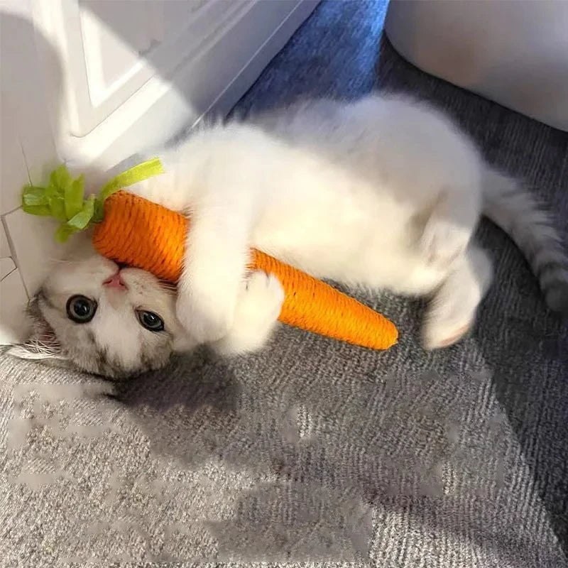 Interactive Carrot Cat Toy Sound Chew Teething Stick