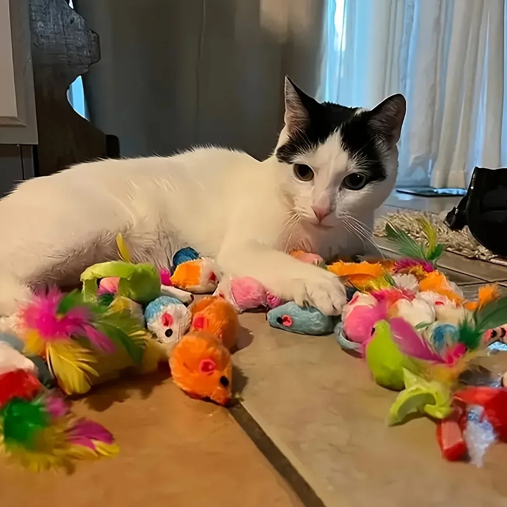 Cat Toy Set Variety Pack – Interactive Toys for Indoor Cats (14/28/56PCS)