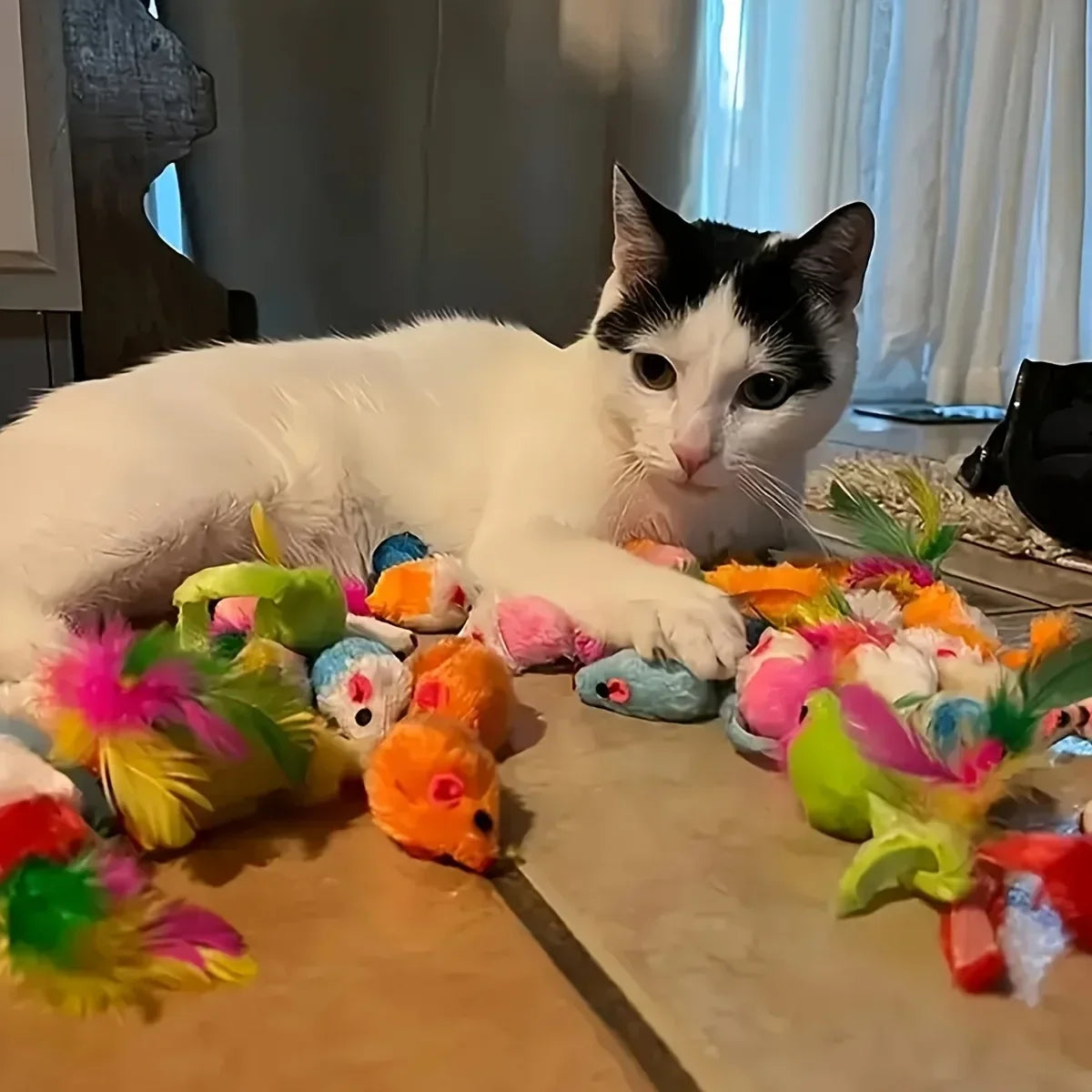 Cat Toy Set Variety Pack – Interactive Toys for Indoor Cats (14/28/56PCS)