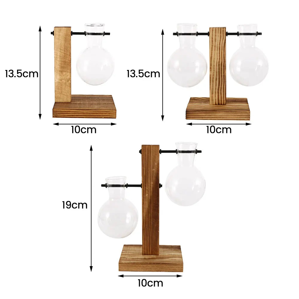 Glass Bulb Planter with Wooden Stand Hydroponic Desktop Vase Home Decor