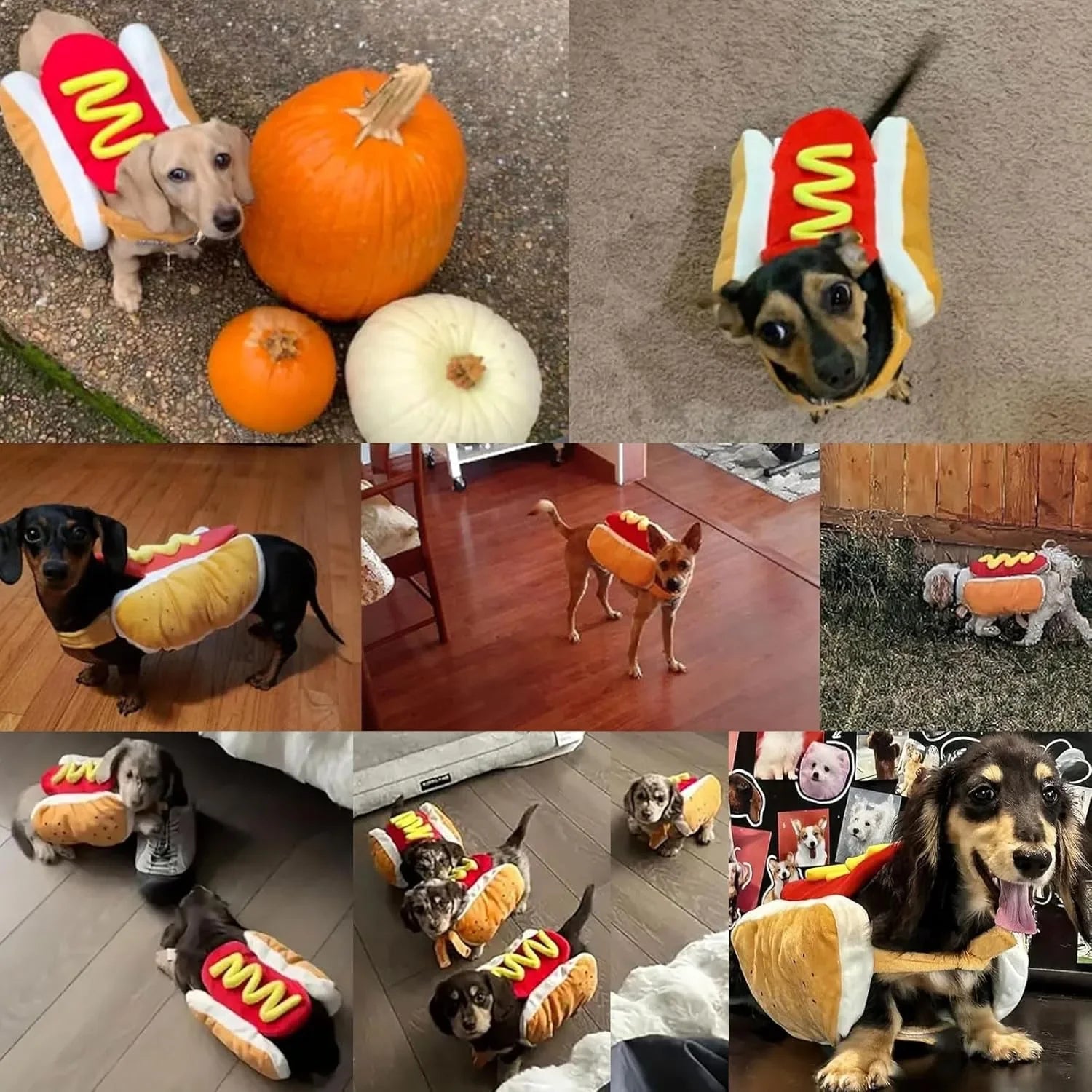 Funny Holiday Dog and Cat Costume Adjustable Dachshund Pet Outfit