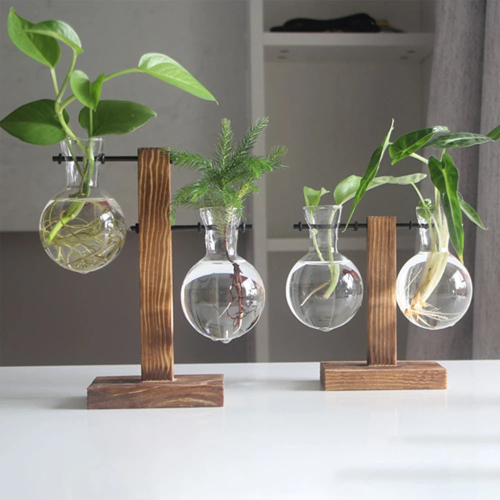 Glass Bulb Planter with Wooden Stand Hydroponic Desktop Vase Home Decor
