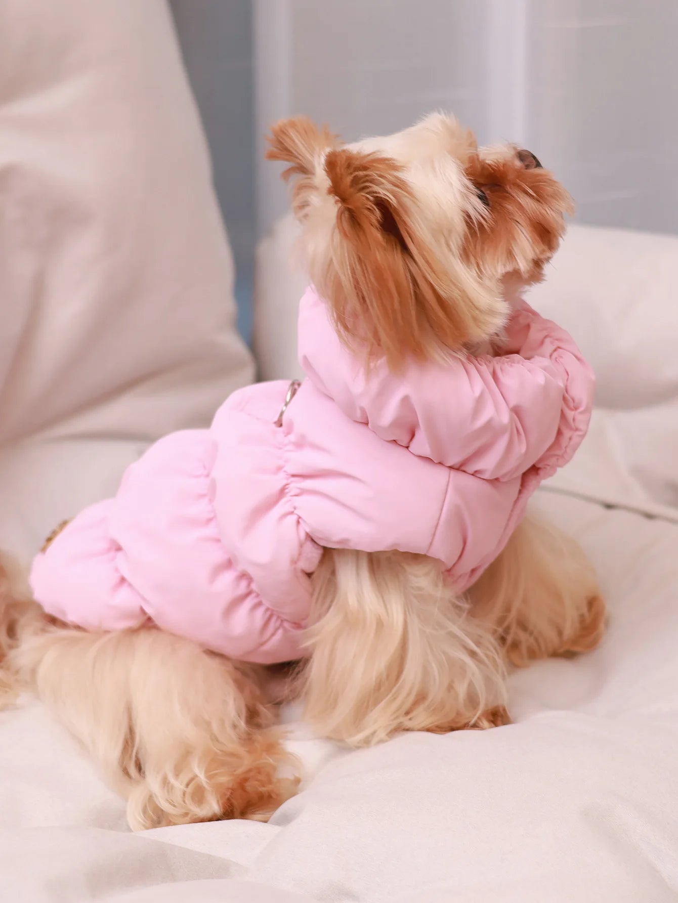 Warm Winter Dog Jacket for Small Medium Dogs